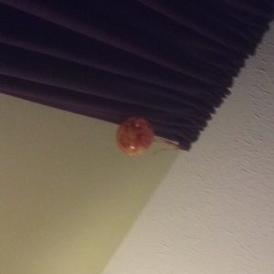 Meet your Posher, Noel